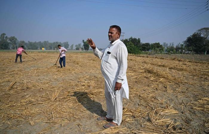 ‘We have no choice’: Why India’s farmers still turn to crop fires despite warnings, feeding toxic Delhi smog