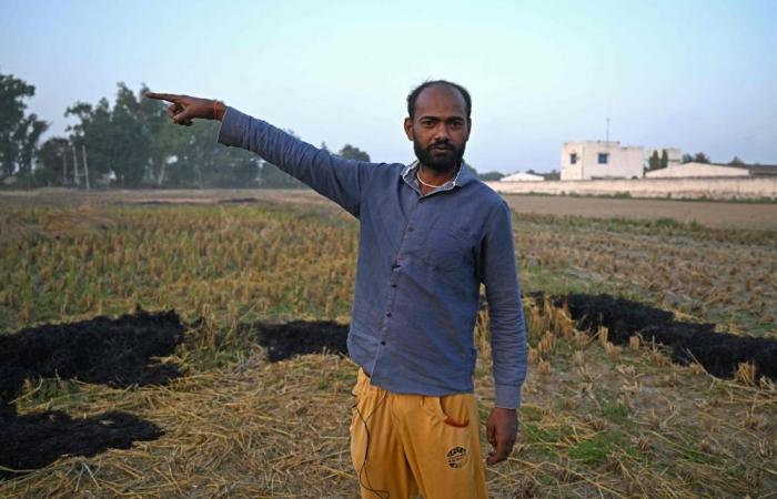 ‘We have no choice’: Why India’s farmers still turn to crop fires despite warnings, feeding toxic Delhi smog