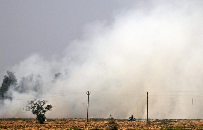 ‘We have no choice’: Why India’s farmers still turn to crop fires despite warnings, feeding toxic Delhi smog