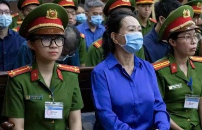 Vietnamese tycoon in race to raise $9bn to avoid execution