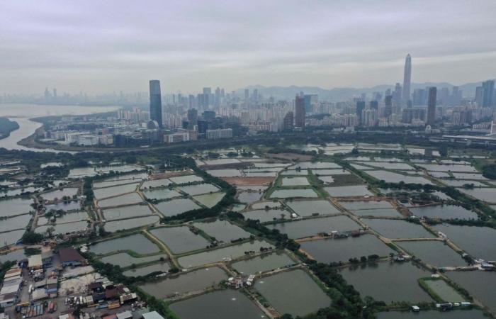 Hong Kong mega development plan to devour villages, wetlands