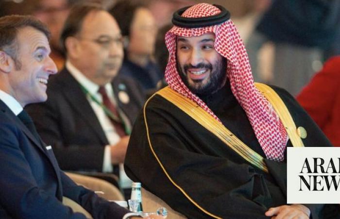 Crown prince: World is facing mounting challenges in water sector