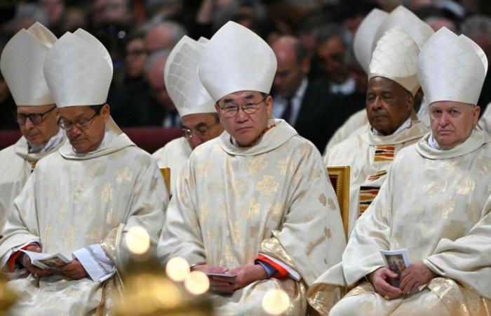 Pope Francis bids to build diversity in Catholic Church for the future with 21 new cardinals from five continents