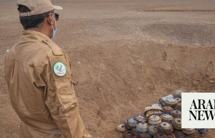 Saudi project clears 808 Houthi mines in Yemen