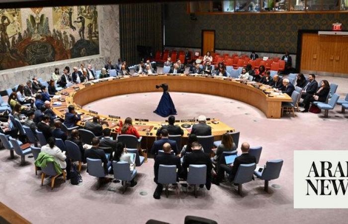 UN Security Council convenes over situation in Syria