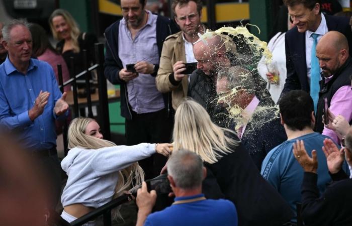 Woman who threw banana milkshake at UK’s Farage handed suspended jail sentence