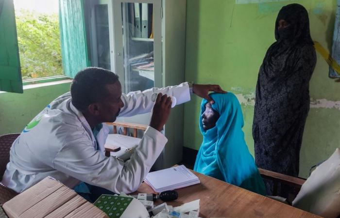 ‘No choice but to continue’: Sudan’s doctors bear brunt of war as healthcare falls apart