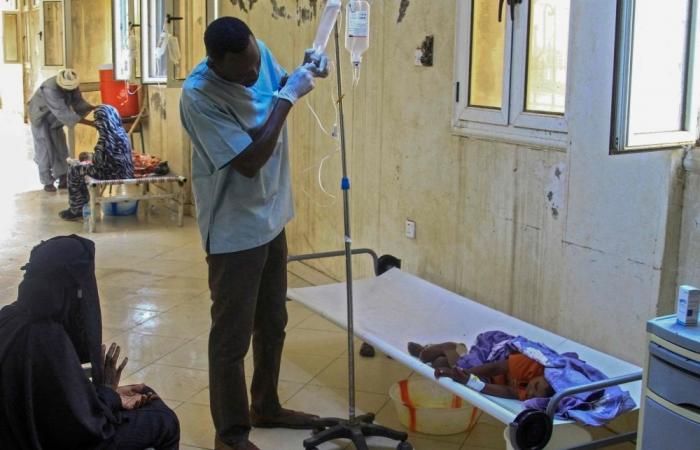 ‘No choice but to continue’: Sudan’s doctors bear brunt of war as healthcare falls apart