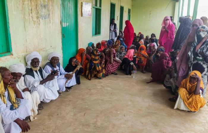 ‘No choice but to continue’: Sudan’s doctors bear brunt of war as healthcare falls apart