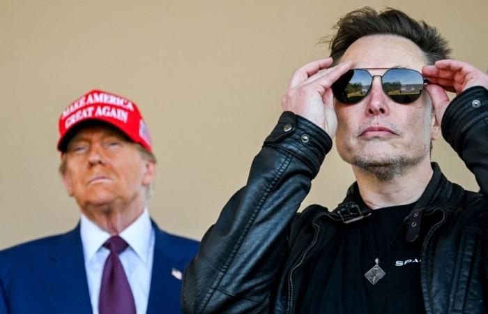 ‘President Musk’ makes presence felt in Washington, attacks bipartisan Congress deal to avoid US government shutdown