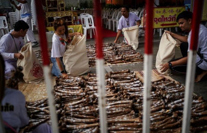 Thai ceremony for the dead brings good karma and emotional closure