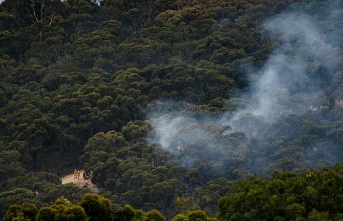 Out-of-control Australia bushfire will burn for days, hundreds of residents evacuated