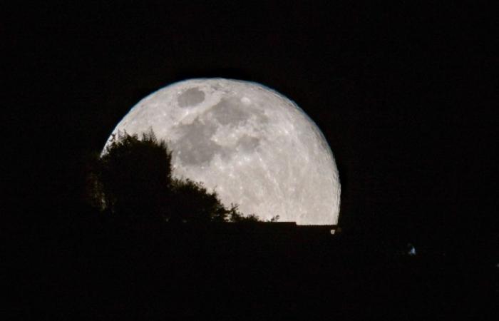 To the Moon and beyond: Japan unveils plans for lunar habitat with artificial gravity