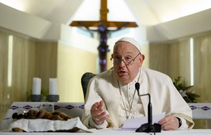 Pope doubles down, again condemns ‘cruelty’ of Israeli strikes on Gaza despite rebuke from Tel Aviv