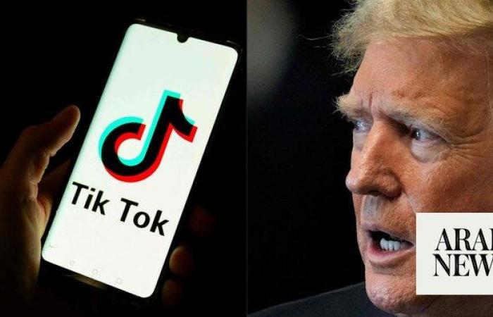 Trump asks Supreme Court to delay TikTok ban so he can weigh in after he takes office