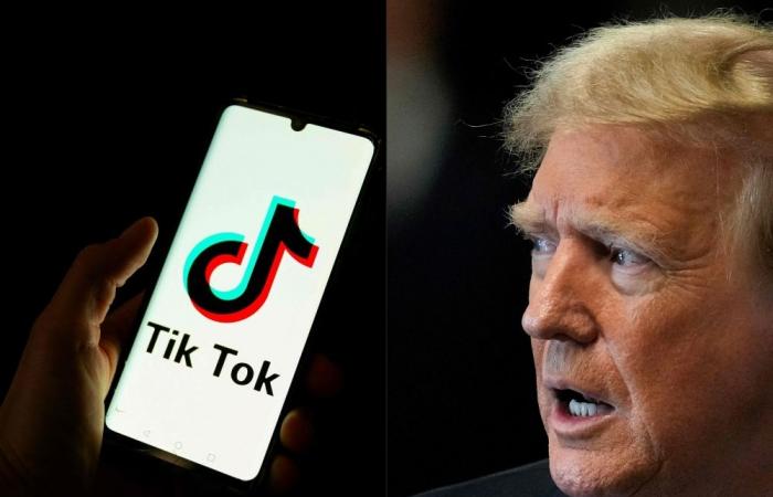 Trump asks US Supreme Court to pause law threatening TikTok ban