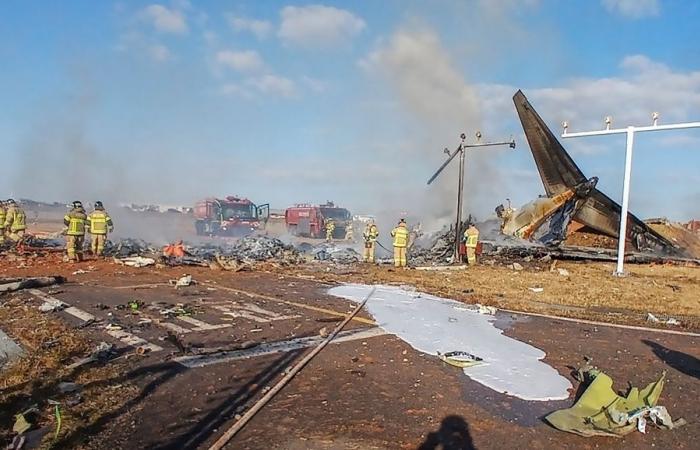 Fatalities rising in Jeju Air plane crash in South Korea airport runway; officials suspect landing gear failure due to bird strike (VIDEO)