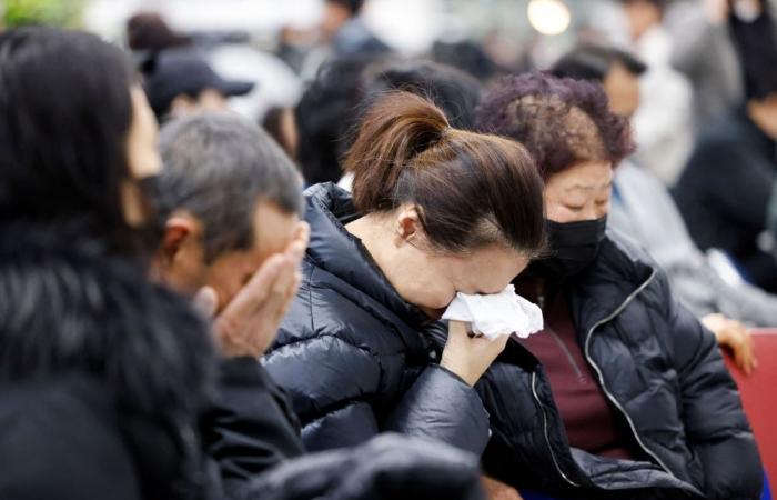 ‘Should I leave a will?’: Final message from doomed Jeju Air flight reveals passenger’s final moments 