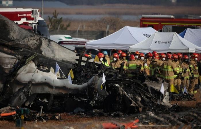 Jeju Air says it ‘sincerely apologises’ after fatal S. Korea plane crash at Muan airport