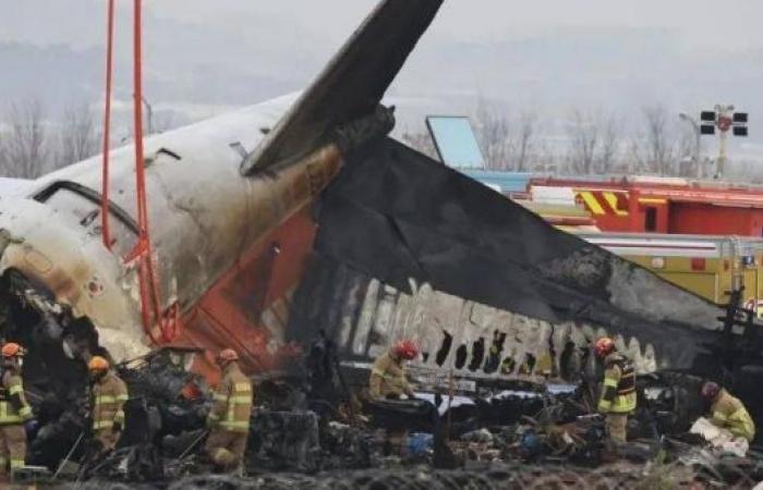 South Korea orders air safety probe after deadly plane crash