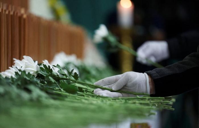 141 out of 179 killed in jeju Air plane crash identified