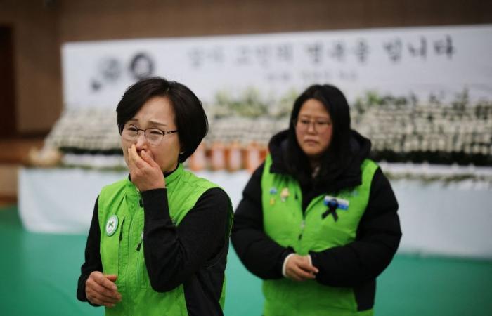 ‘It doesn’t feel real’: Empty desks and tears as South Korean office mourns five colleagues killed by Jeju Air tragedy