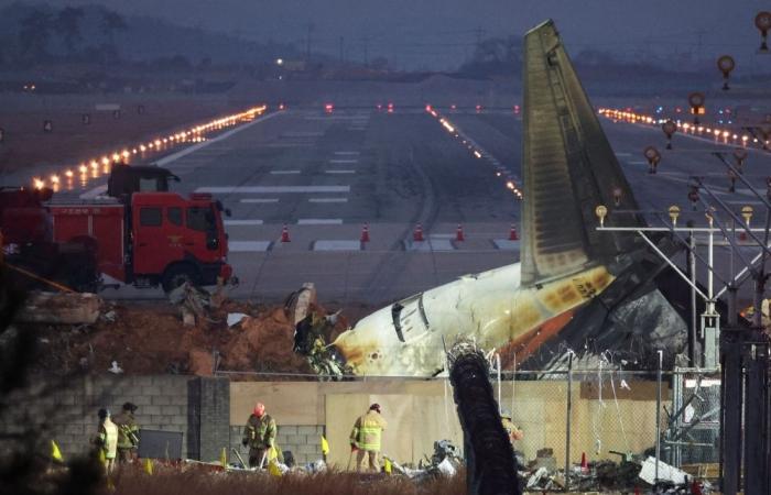 Questions over airport embankment, bird strikes as South Korea air crash probed