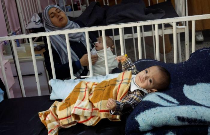 Gaza healthcare on brink of ‘total collapse’ as UN accuses Israel of attacks on hospitals, calls for war crimes probe