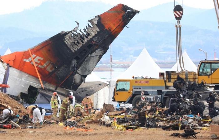 All 179 victims of Jeju Air crash recovered, ministry confirms, families begin receiving remains