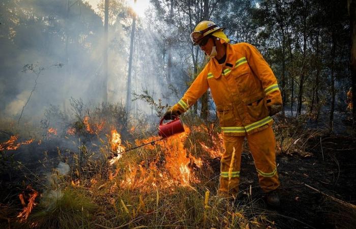 Another ‘Black Summer’ brewing in Australia’s south-east? Bushfire risk rises as heatwave sends temperatures soaring to 45C