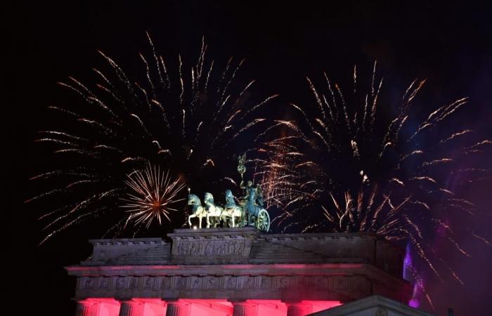 Germans rally behind police union’s bid to ban fireworks after violent New Year’s Eve