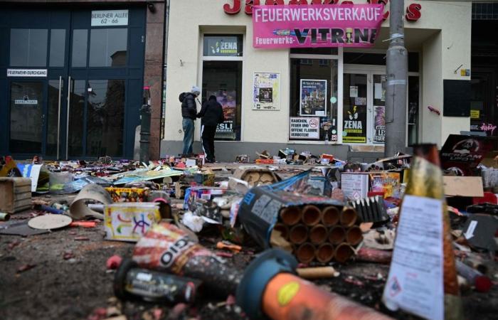 Germans rally behind police union’s bid to ban fireworks after violent New Year’s Eve