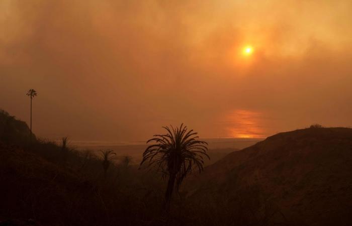 Extreme weather, suburban sprawl fuel LA’s wildfires