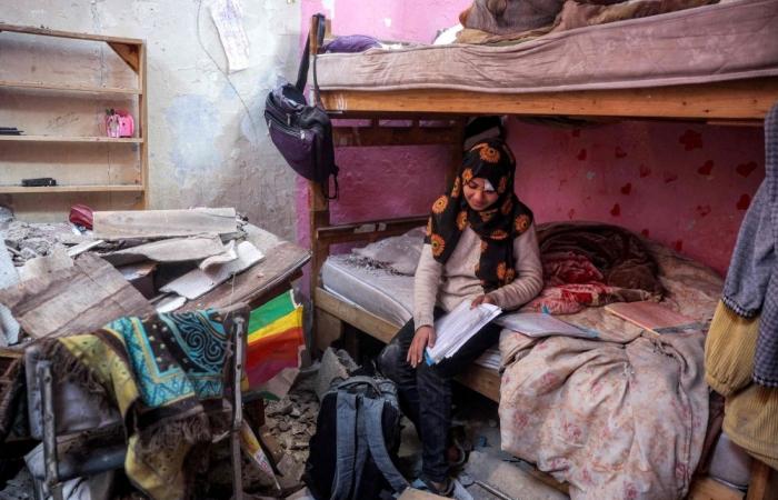 Malala Yousafzai: Israel destroyed more than 90pc of schools in Gaza, ‘decimating’ entire education system