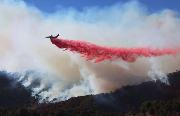 Toxic wildfire smoke blankets Los Angeles as health officials urge residents to stay indoors