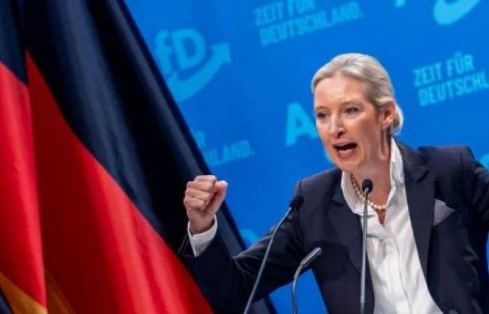 AfD embraces mass deportation of migrants as German election nears