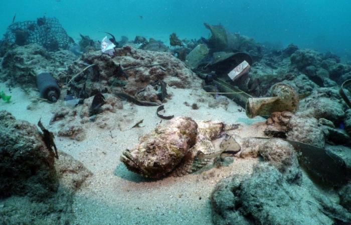 Nothing to sniff at: Phuket’s paradise under threat as rapid tourism fuels garbage crisis