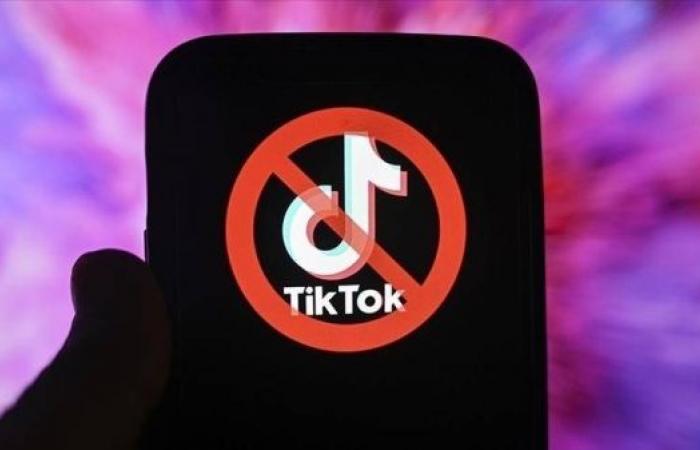 TikTok to suspend access in the US as ban looms