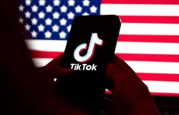 TikTok goes offline in US after federal ban