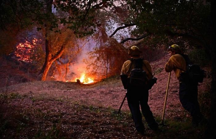 Satellites and AI lead charge in revolutionising wildfire detection and disaster prevention