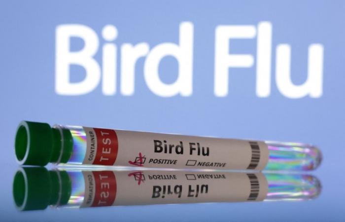 US grants Moderna US$590m to fast-track mRNA bird flu vaccine amid pandemic fears