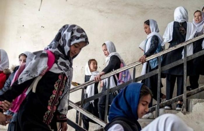 Taliban deputy urges leader to lift education bans on Afghan women and girls