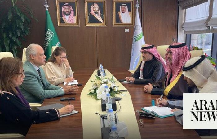 Saudi fund chief receives GCC representative to UNHCR