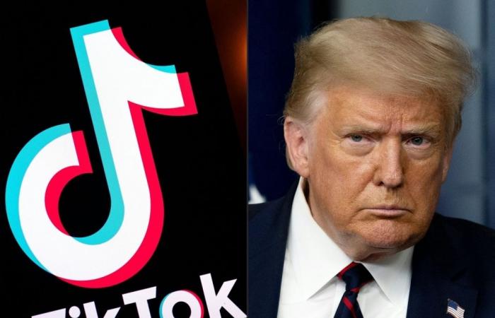 Trump gives TikTok 75-day grace period from US ban