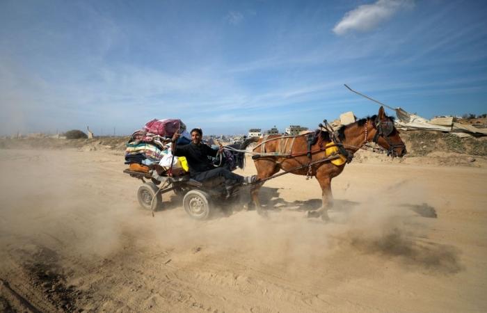 After celebrations, displaced Gazans return home to destruction