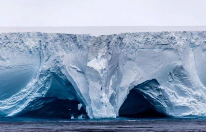 Giant iceberg on crash course with island — penguins and seals in danger