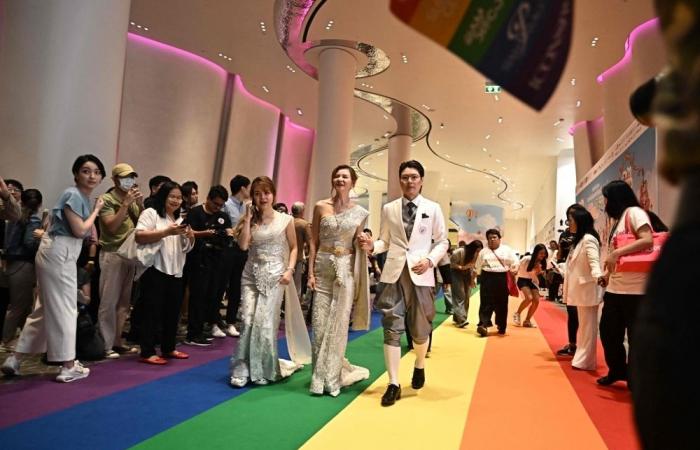 The birds and the bees and LGBT — How Thailand’s same-sex law works