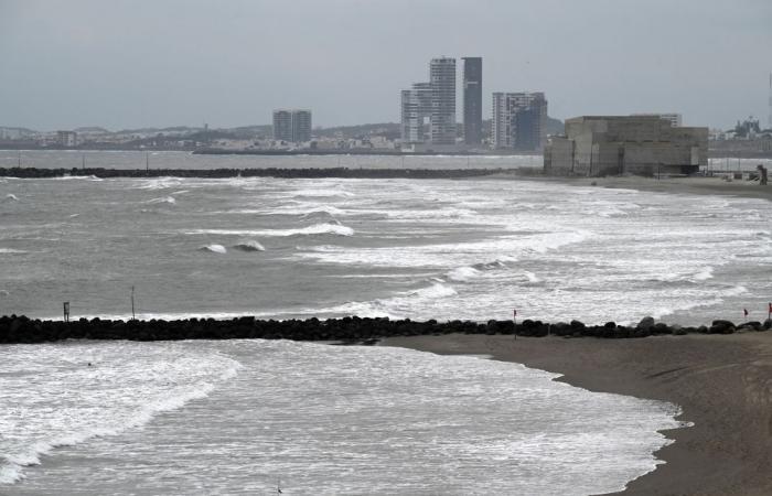 Trump administration officially renames Gulf of Mexico to Gulf of America