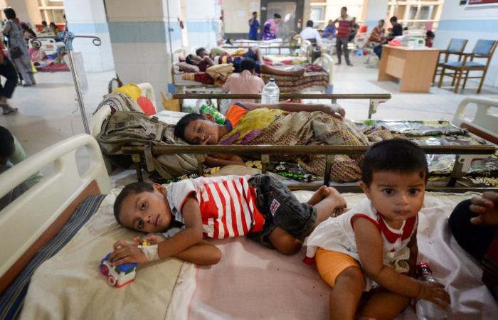 Why child-killer diseases like dengue, cholera and mpox have surged worldwide