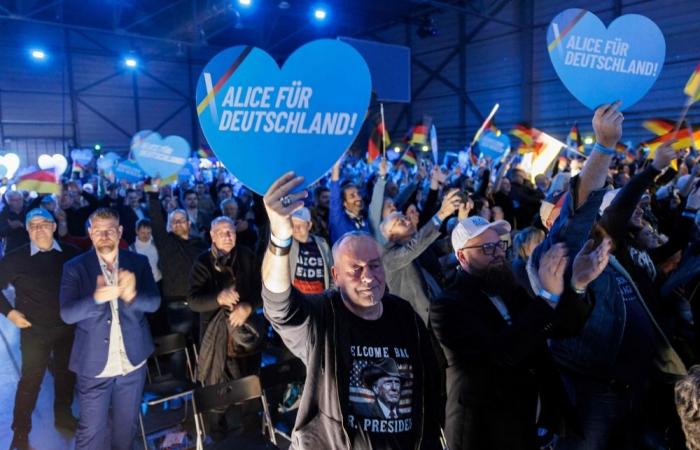 Tens of thousands protest Germany's far right as Musk backs AfD